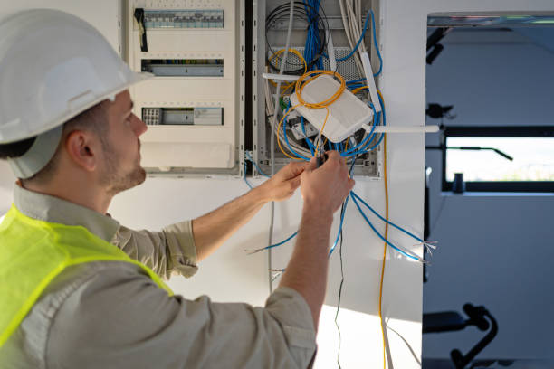 Best Electric Panel Repair  in Carter, TX